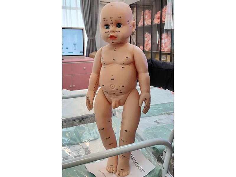 婴儿模型